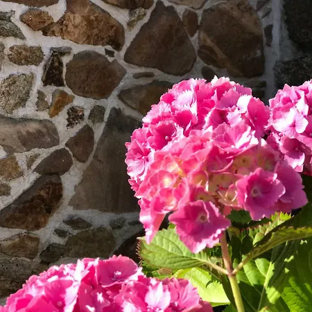 Manoir Des Petites Bretonnes Gæstehus