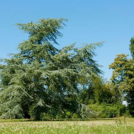 Manoir Des Petites Bretonnes Gæstehus *