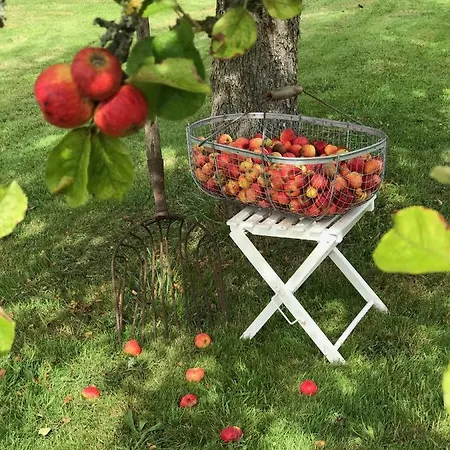 Manoir Des Petites Bretonnes Gæstehus